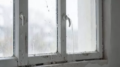Czym wyczyścić okna po tynkowaniu